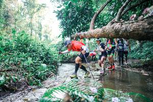 BIB: 
                            <button type="button" onclick="openModal(25452743)" class="btn btn-primary btn-sm float-right btn-popup" data-toggle="modal" data-target=".modal-high-quality">
                        <i class="fas fa-shopping-cart"></i> Add to Cart
                    </button>
                                            <button type="button" onclick="isThisMe(25452743, true)" class="btn btn-success btn-sm float-right btn-popup btn-isme hidden" data-toggle="tooltip" data-placement="bottom" title="นี่คือรูปของคุณใช่ไหม คลิกที่นี่เพื่อเอาเข้าอัลบั้ม">
                        <i class="fas fa-plus"></i> Add to album
                    </button>
                    <button type="button" onclick="isThisMe(25452743, false)" class="btn btn-warning btn-sm float-right btn-popup btn-isnotme hidden">
                        <i class="fas fa-ban"></i> Remove from album
                    </button>